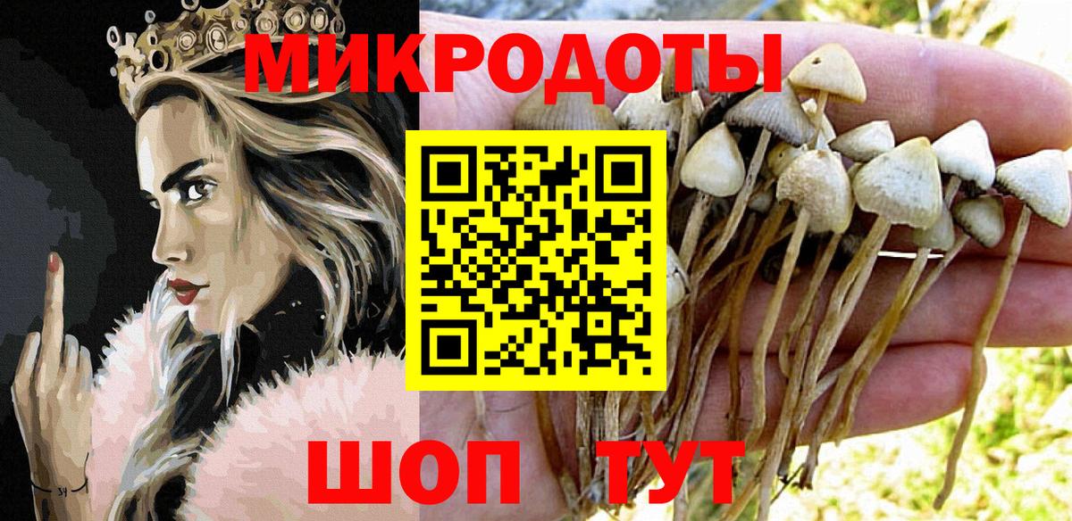 Тольятти  Псилоцибиновые грибы Magic Shrooms  Вход с VPN  Галлюциногенные грибы Cubensis 